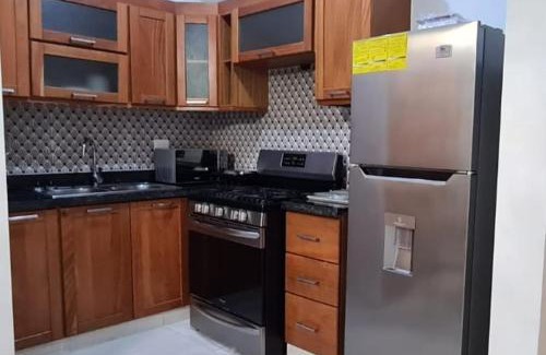 Downtown Santo Domingo Apartment | Torre Harriannet XIII