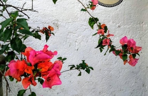 La Pena Cabin | Totally private house, located over the lake that offers unbeatable views