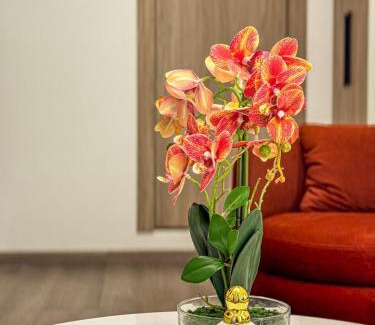 Ecuadorian Amazon Apartment | Totems Urban Nest 2 Garages Included