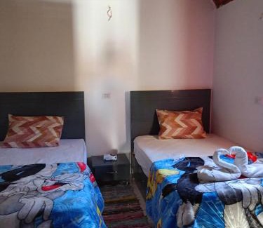 Aswan House | Toto Kato