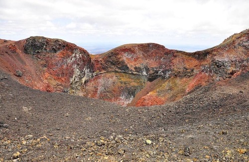 Puerto Villamil House | Tour to volcan, swim with sharks - Marriat #6