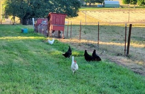 Crawfordsville House | Toyhauler trailer rental at Carsner Tree Farm (CTF)