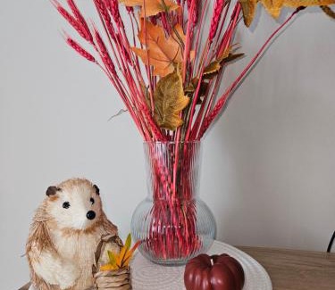 Carruba Apartment | Tra Onde e Vette