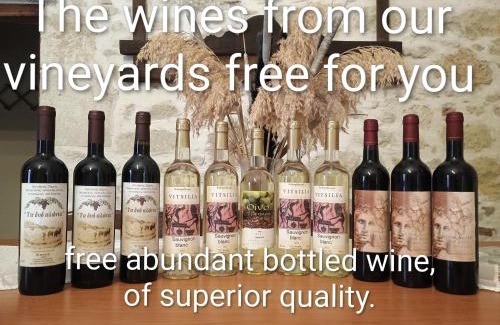 Minoa Pediada House | Traditional Creta stone house in serenity village