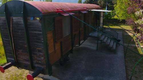 Dorothea Other | Train in the Forest