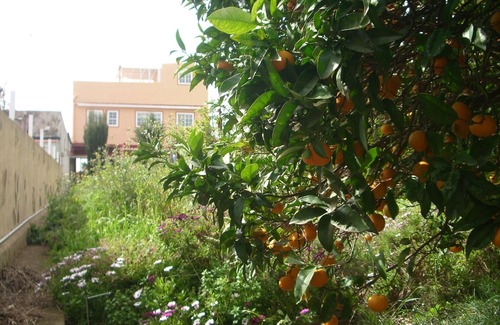 San Cristobal de La Laguna House | Tranquil room in a rural place, with sun energy.