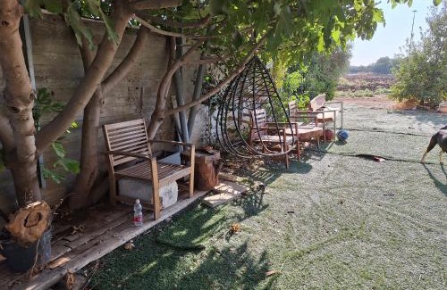 Rosh Ha'ayin House | Trankilo on the field