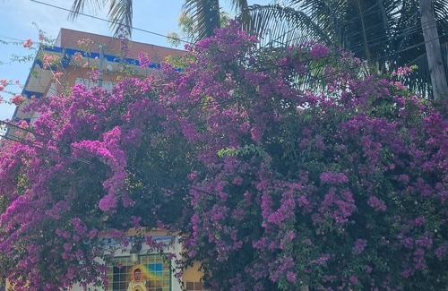 Salina Grande Apartment | Tranquil Caribbean Getaway: Safe & Serene Apartment in Island Paradise