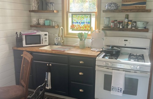 Barbeau Cabin | Tranquil waterfront cabin with AC in charming Barbeau with outside fun zone