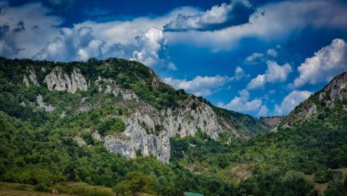 Balsa Hotel | Transilvania Undiscovered - The Hobbit House