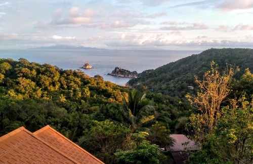 Koh Tao Hotel | Tree House Bungalows Koh Tao