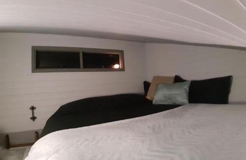 Puqueldon Cabin | TREE LODGE CHILOE