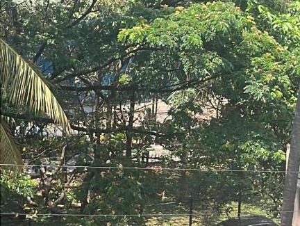 Bengaluru Apartment | Tree Top
