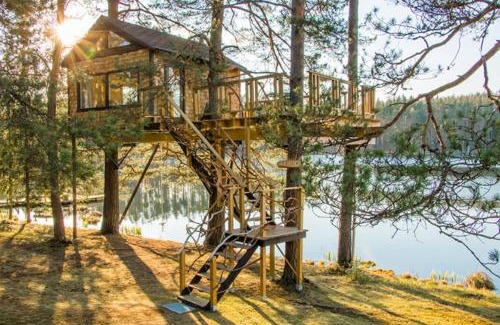 Priekuli Municipality House | Treehouse Čiekurs