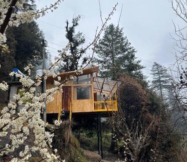 Banjar Ski Chalet | TreeHouse by The Woodpecker Inn Jibhi
