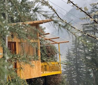 Banjar Ski Chalet | TreeHouse by The Woodpecker Inn Jibhi