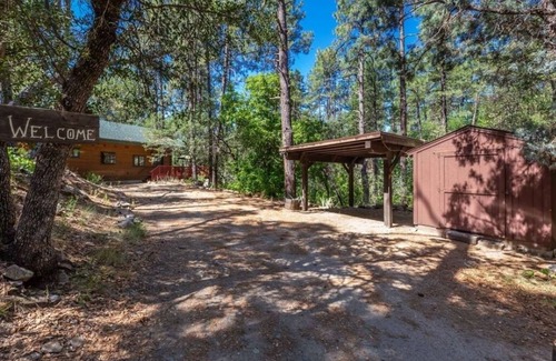Ponderosa Park Cabin | Treehouse Cabin is your Mountain Getaway