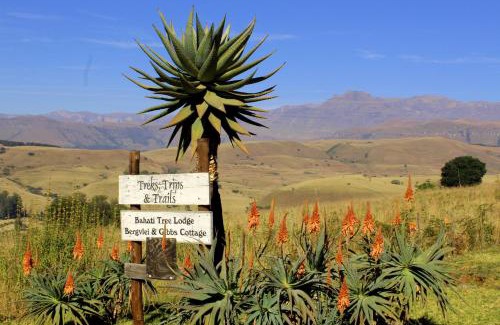 Cathkin Park Ski Chalet | Treks, Trips and Trails