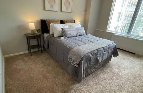 Crystal City Apartment | Trendy and Adaptable Accommodation in Crystal City