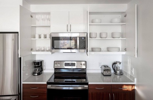 South Brookline Apartment | Trendy Chestnut Hill 1BR w/ W/D & Gym, nr Hancock Village, by Blueground