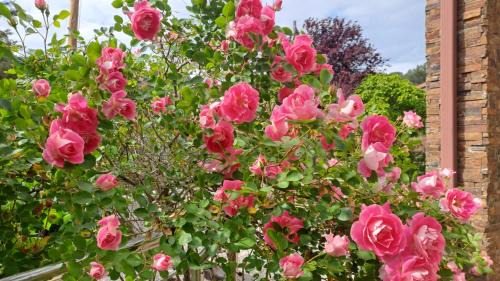 Castellnou de Bages House | TRES TEULADES 8+1