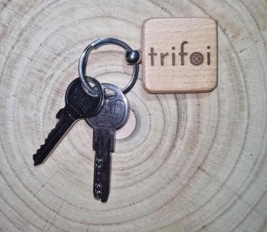 Dorna Arini Ski Chalet | Trifoi Chalet