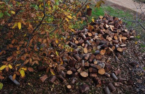 Mesaia Trikala House | Trikalon Muses Art Suites