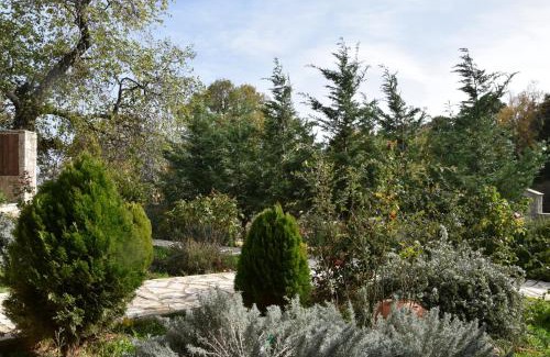 Mesaia Trikala House | Trikalon Muses Art Suites