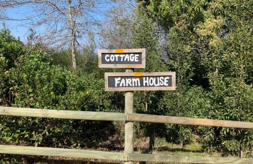 Plettenberg Bay House | Trinity Farm Ocean view Cottage