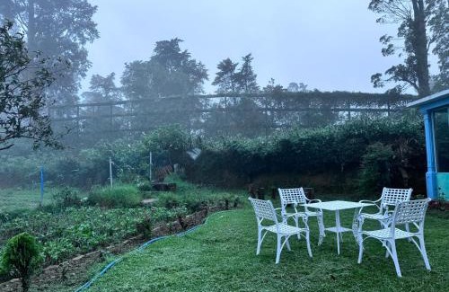 Nuwara Eliya House | Trinity Guest-Inn