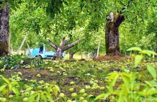 Asahi-machi House | Triple room with futon shared bathroom room witho/Nishimurayama-gun Yamagata