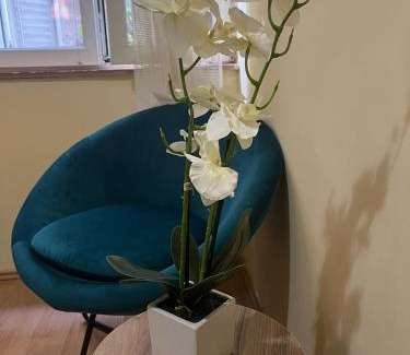 Rakovica Apartment | TripleA Sr apartments