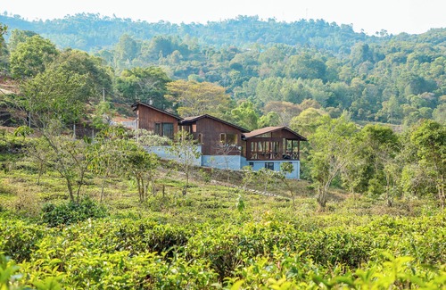 Kotagiri Villa | Triptych by Xplore Indo