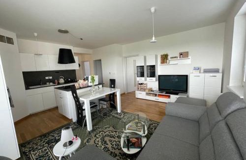 Samorin Apartment | Trojizbový byt vzdialený 800 m od X bionic Shere s dvoma kúpeľňami