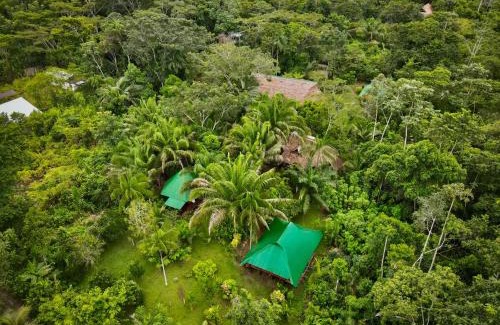 Puerto Maldonado Other | Tronco Tambopata Adventure