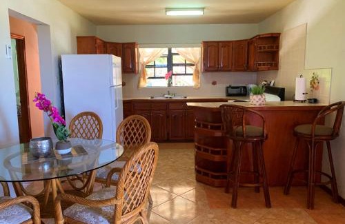 Valley Church Apartment | Tropical Apartment 1B