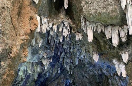 Cam Pha Apartment | Tropical Forest Homestay