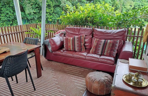 Mission Beach Apartment | Tropical Green Haven.nSmall centrally located self-contained apartment .