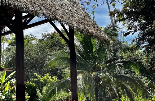 Puerto Jimenez House | Tropical house on the Osa Peninsula, close to beach in a quiet neighborhood