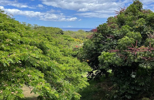 Makaha Valley Condo | Tropical Ocean View Retreat