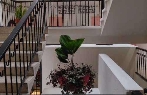 Emiliano Zapata Hotel | Tropicus 1 Romantic Zone