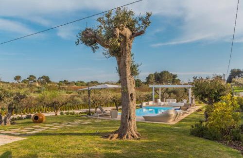 Martina Franca House | Trulli Terralunga