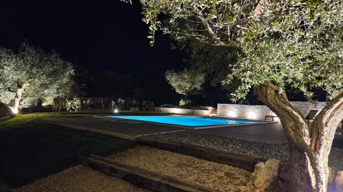 Putignano Apartment | Trullo Alisia - TrulloExperience