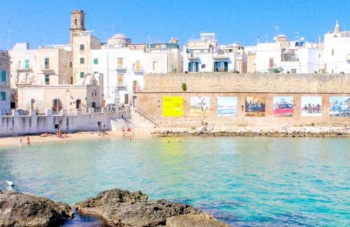 Selva di Fasano Villa | Trullo Monte Cannone con piscina
