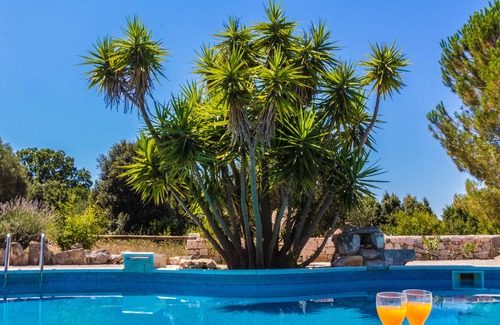 Cisternino Villa | Trullo Tartaruga with private pool and wifi