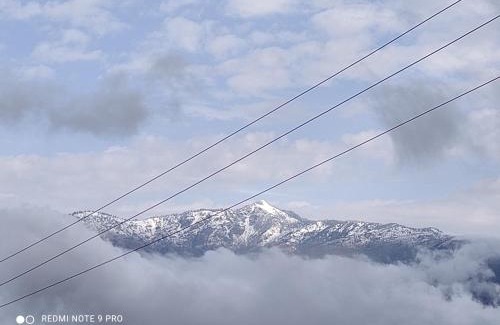 Kotgarh House | Trushali Homestay