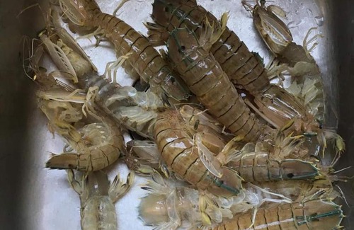 Co To House | TUẤN HẠNH HOMESTAY