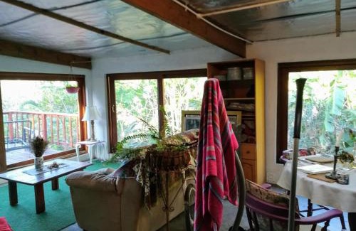 Hillcrest Apartment | Tucked away in the tree tops