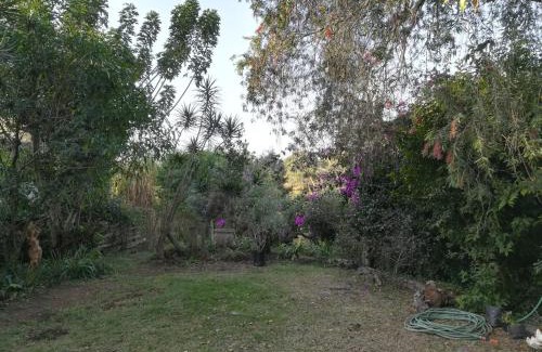 Hillcrest Apartment | Tucked away in the tree tops