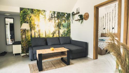 gmina Zembrzyce House | Tulichatki domki całoroczne